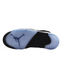 Jordan 5 Retro Moonlight CT4838-011