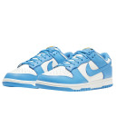 Nike Dunk Low Coast DD1503-100