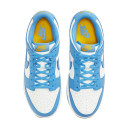 Nike Dunk Low Coast DD1503-100