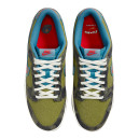 Nike Dunk Low Siempre Familia DO2160-335