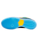 Nike SB Dunk Low Blossom x The Powerpuff Girls Bubbles FZ8320-400