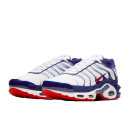 Nike Air Max Plus White Red Blue CJ9928-100