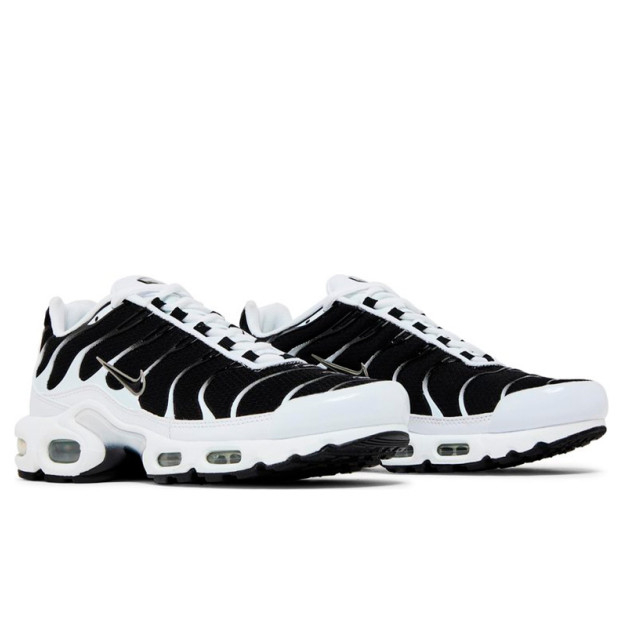 Nike Air Max Plus White Black Metallic Pewter CT1094-102