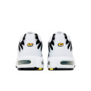 Nike Air Max Plus White Black Metallic Pewter CT1094-102