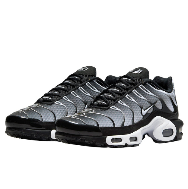 Nike Air Max Plus Black White Gradient DM0032-003