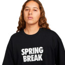 Футболка Nike NK SB TEE SPRING BREAK DX9457-010