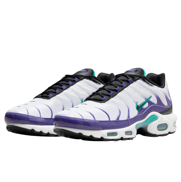 Nike Air Max Plus Grape DM0032-100