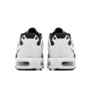 Nike Air Max Plus Drift White Silver Black FD4290-101