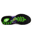 Nike Air Max Plus Rebellious Air 604133-610