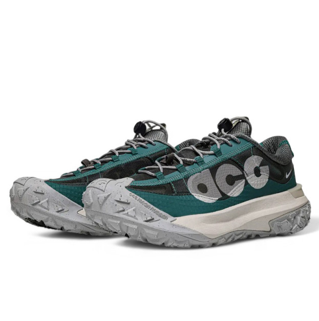 Nike ACG Mountain Fly Low 2 Bicoastal DV7903-300