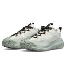 Nike ACG Mountain Fly 2 Low Gore-Tex Phantom Light Silver HF6245-003