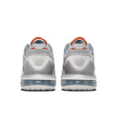 Nike Air Max Pulse 270 Roam Cool Grey FN6920-001