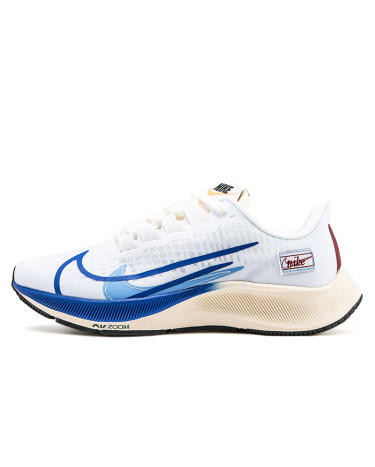 Nike Air Zoom Pegasus 37 White Blue CQ9908-100