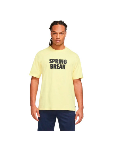 Футболка Nike NK SB TEE SPRING BREAK DX9457-706