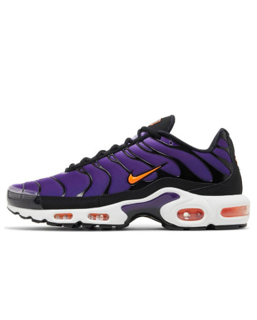 Nike Air Max Plus Voltage Purple DX0755-500
