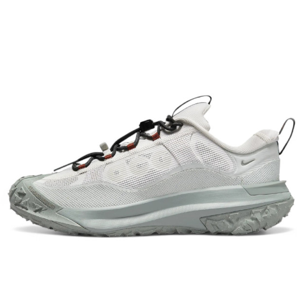 Nike ACG Mountain Fly 2 Low Gore-Tex Phantom Light Silver HF6245-003