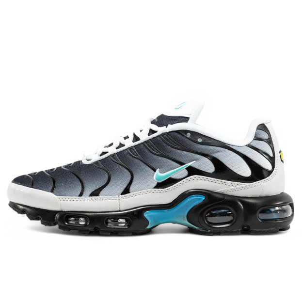 Nike Air Max TN Plus Blue Grey