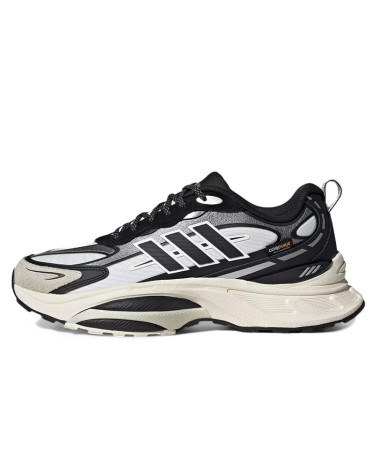 Adidas MTS Pro Gore-Tex Silver Black Beige IH6342