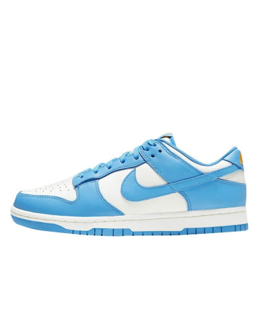Nike Dunk Low Coast DD1503-100